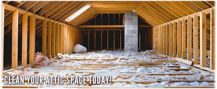 Attic Cleaning Springfield VA
